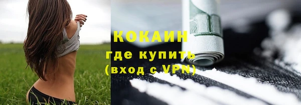 ешки Гусь-Хрустальный