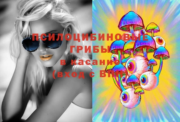 твердый Дмитров