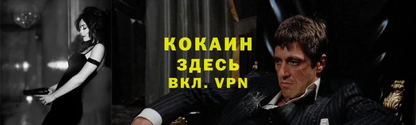 твердый Дмитров