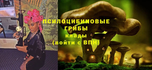 эйфоретик Гусиноозёрск