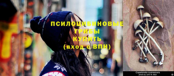спайс Дмитриев