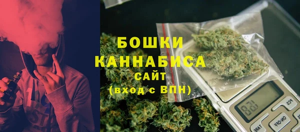 твердый Дмитров