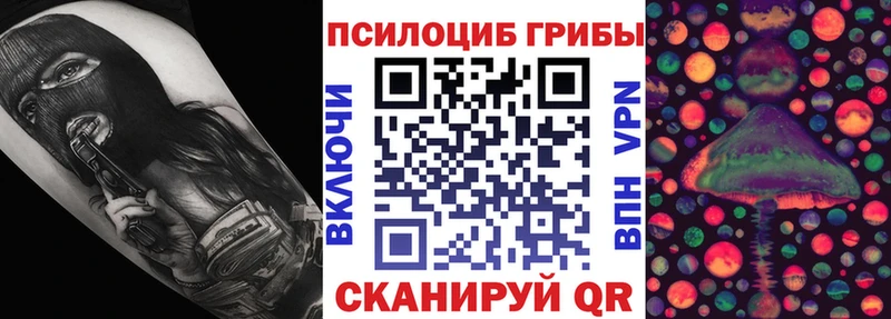 KRAKEN ССЫЛКА  где можно купить   Зуевка  Псилоцибиновые грибы ЛСД 